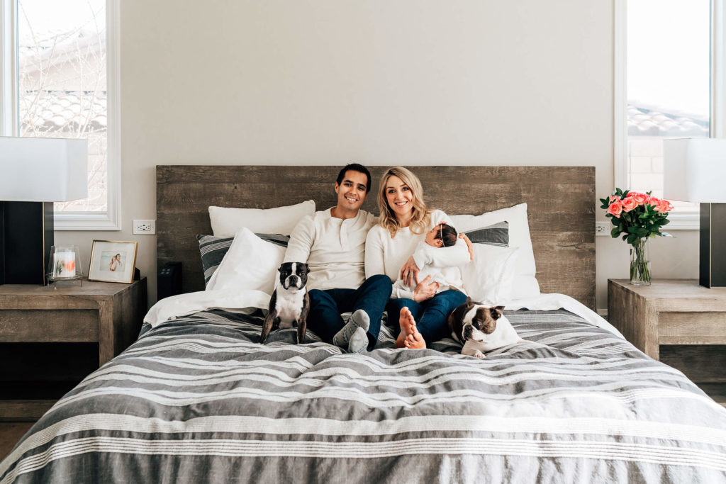 parents on bed with newborn baby and two dogs during newborn session 