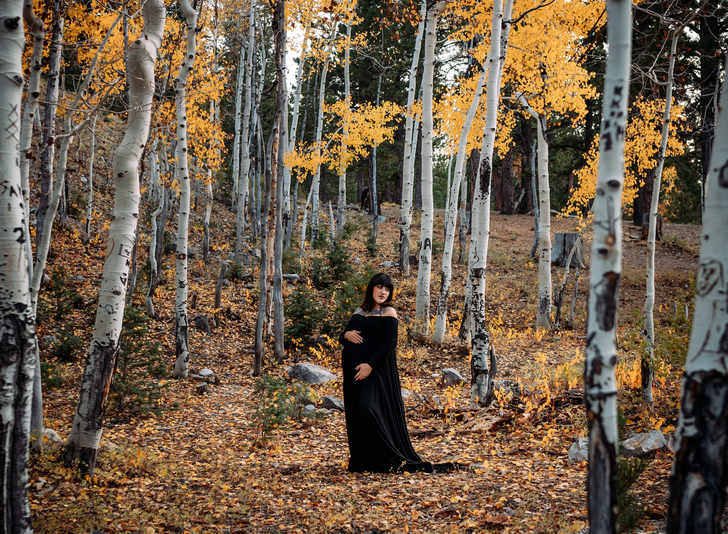 fall maternity session with aspen trees outside of Las Vegas