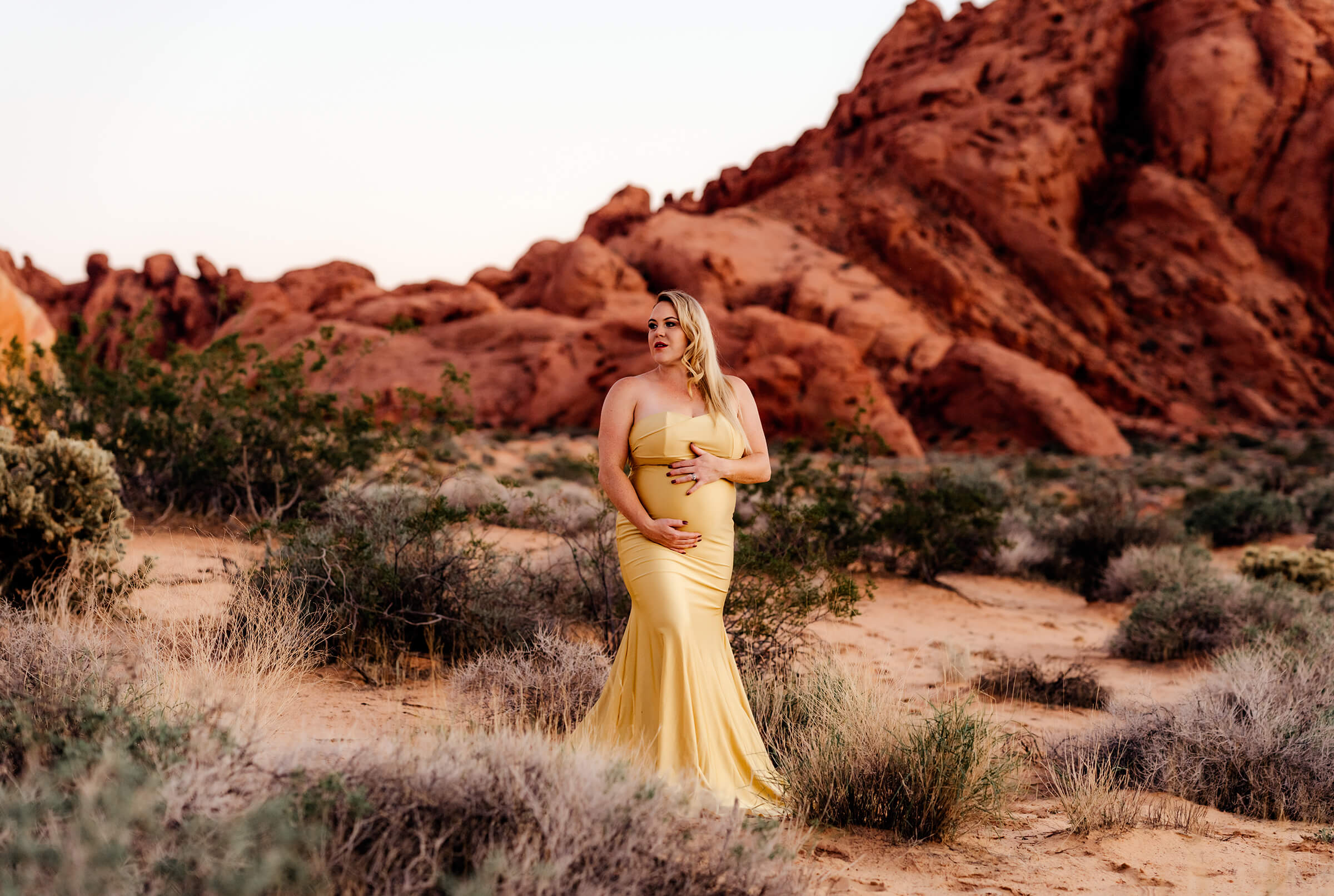 maternity session at the Valley of Fire