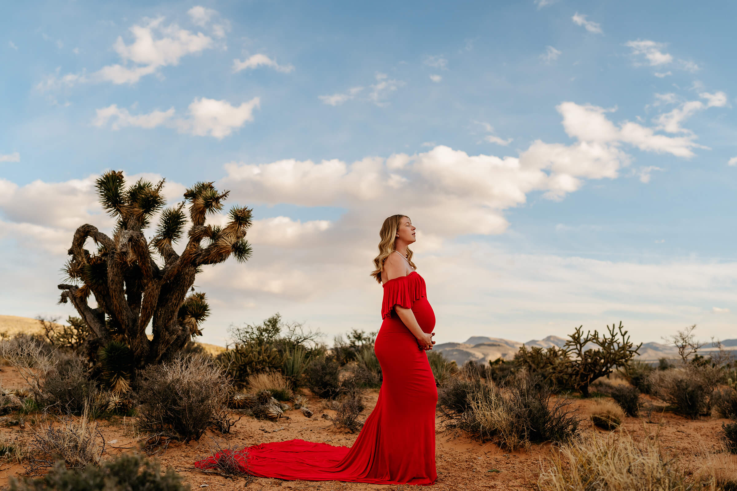 maternity session with beautiful skies and red dress