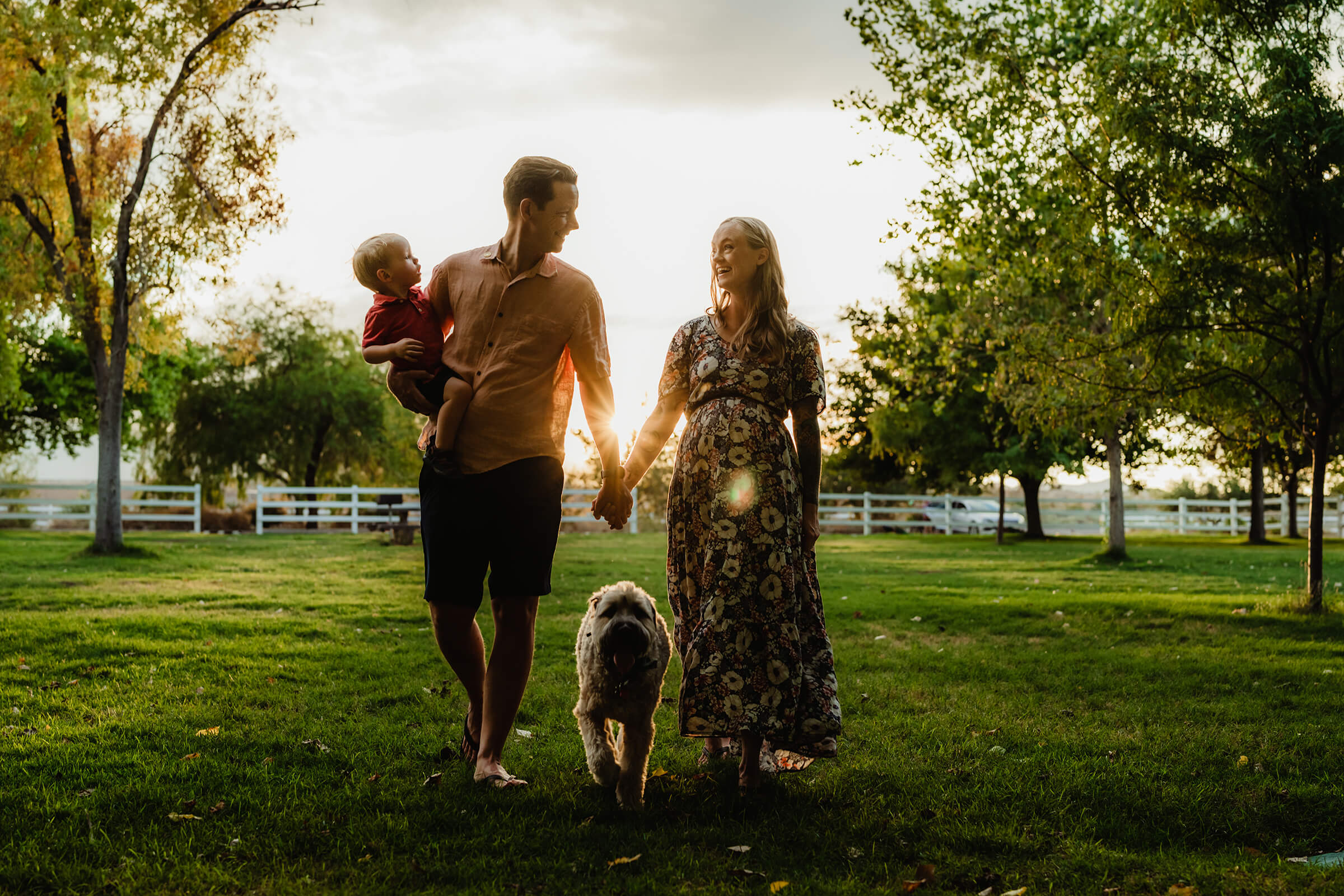 creative maternity session with son and dog