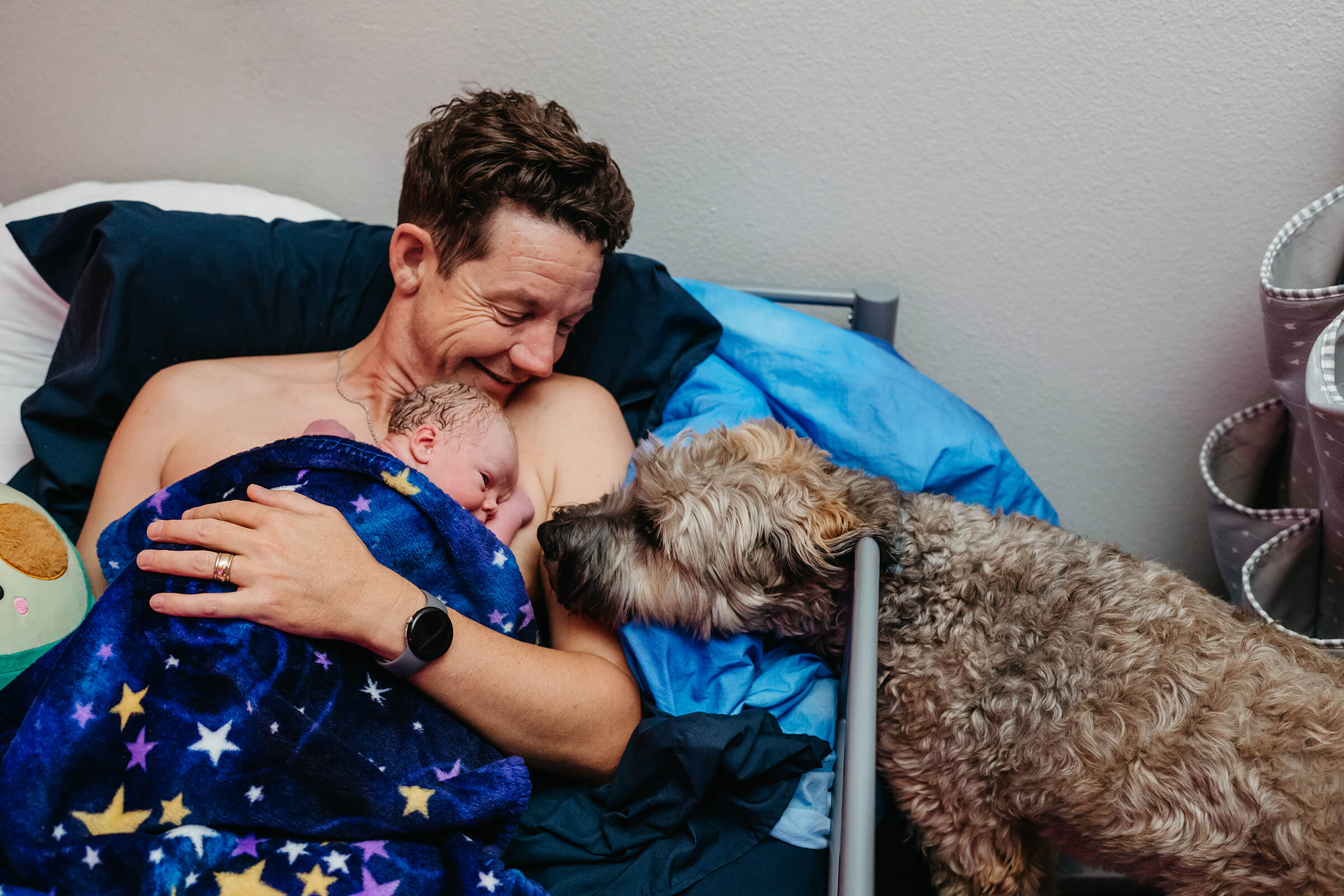 dog meeting his human sibling at home after birth 